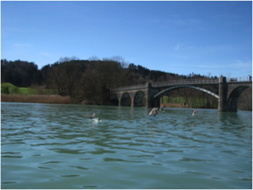 Wohlensee/Wohleibrück foto  Lettya Oesch